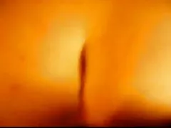 Anal genossen