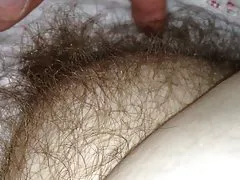 Rieb ihre Sofy mollig behaarte Muschi unter dem Blatt